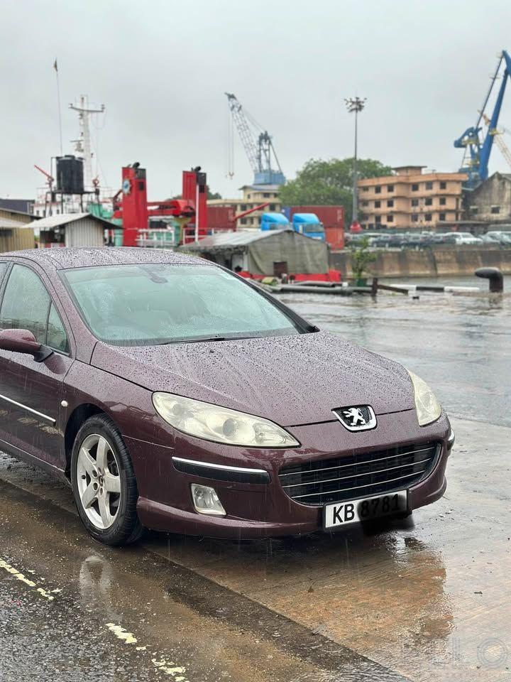 Peugeot 407 2006